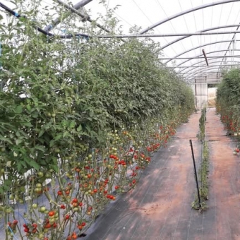 Au pied de la mûre : une nouvelle adresse pour jardiniers et gourmands !